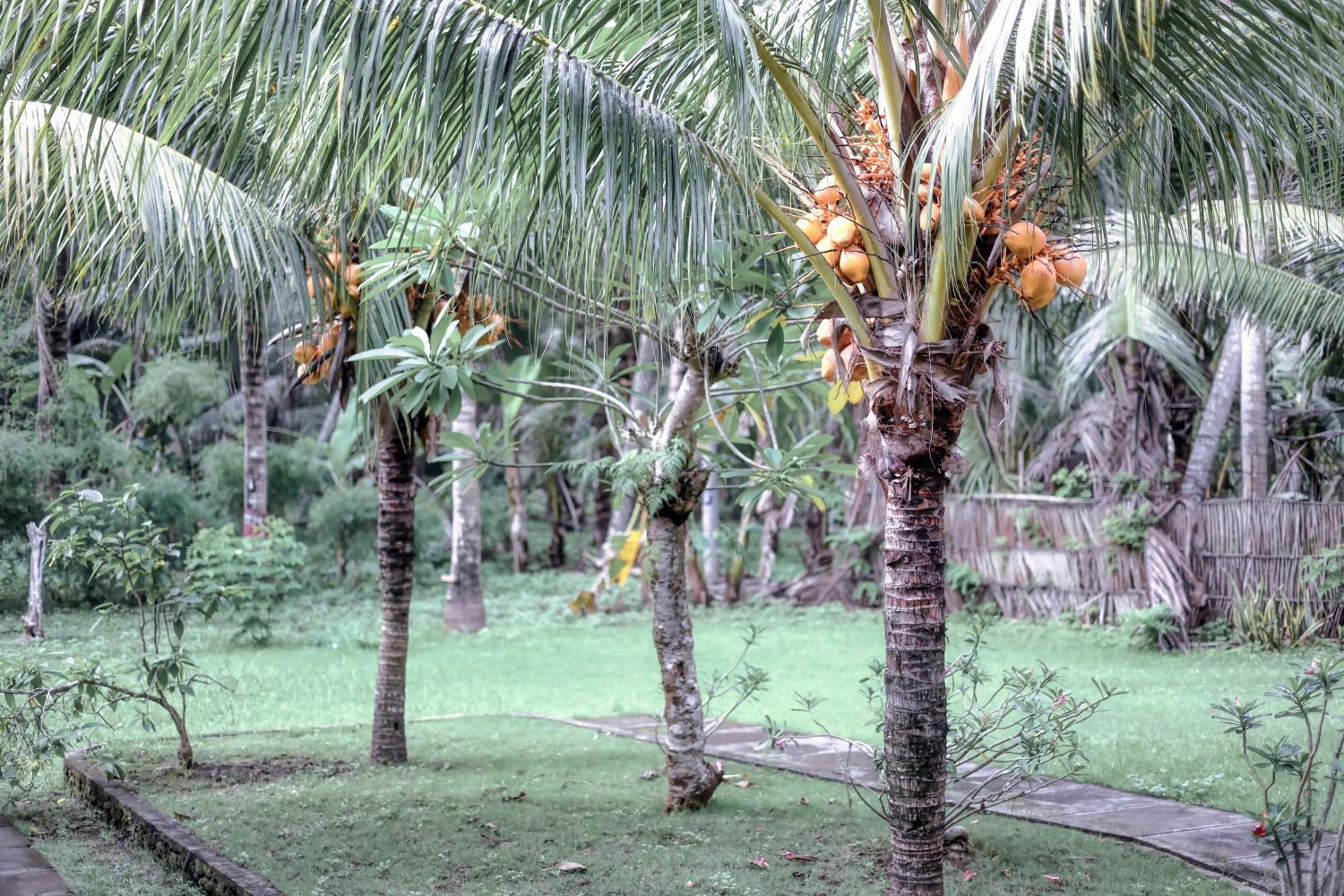 Komurd Lavender Bungalow Sakti Exterior photo